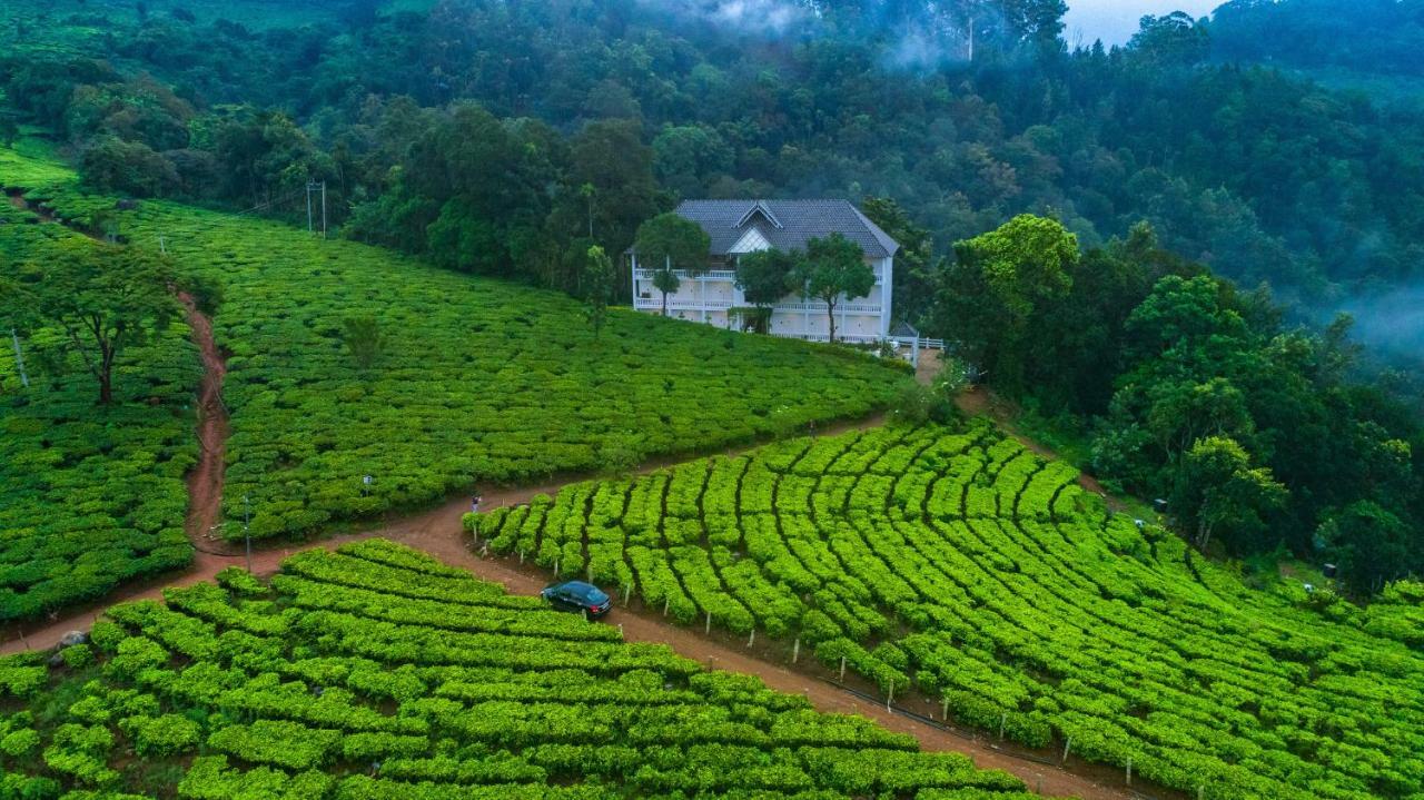 Tea Harvester Munnar Eksteriør bilde